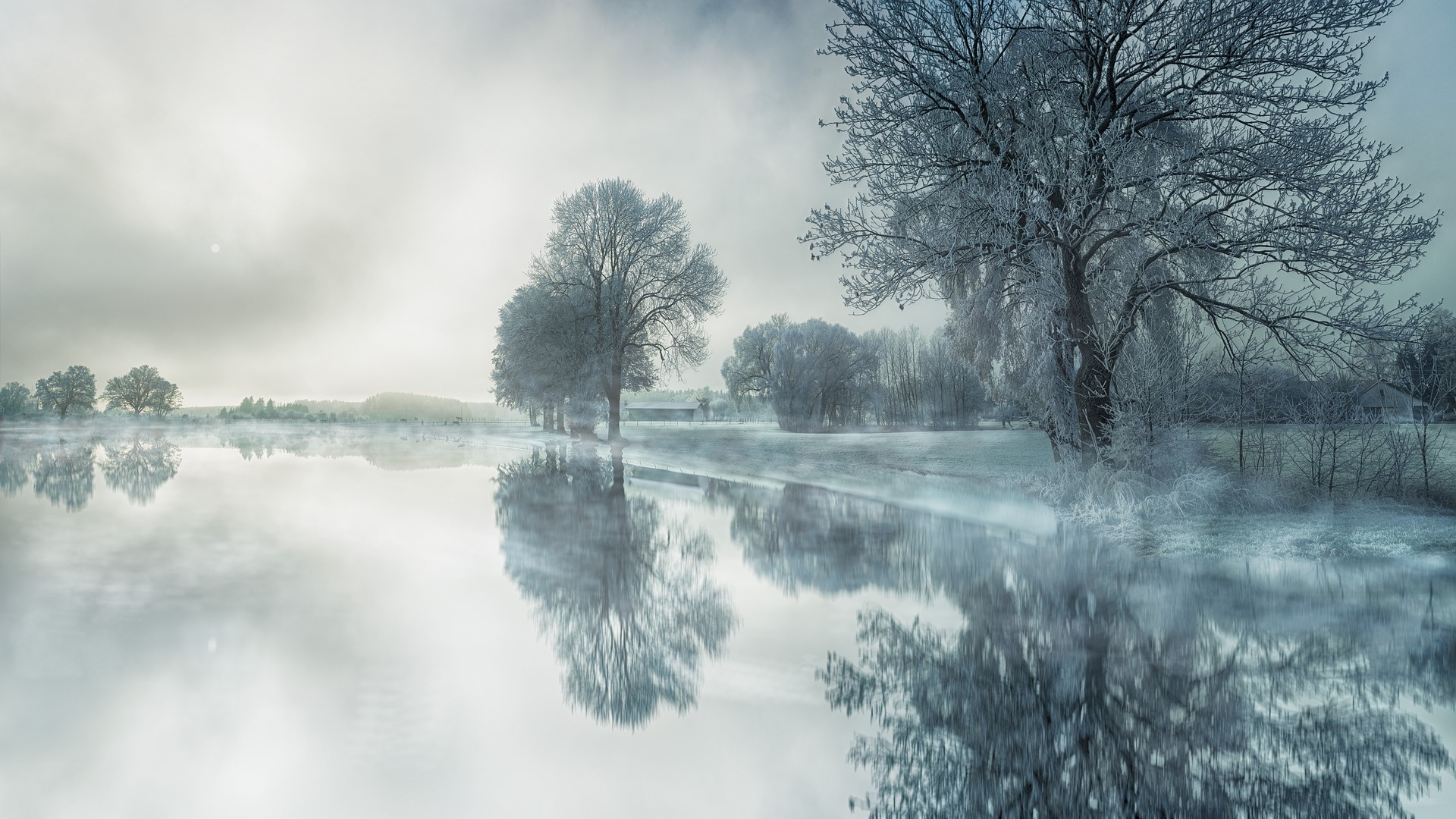 nature-g3aae7893d1920.jpg
